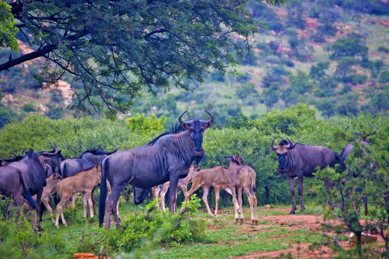 Kedar Heritage Lodge, Conference Centre & Spa Phokeng エクステリア 写真