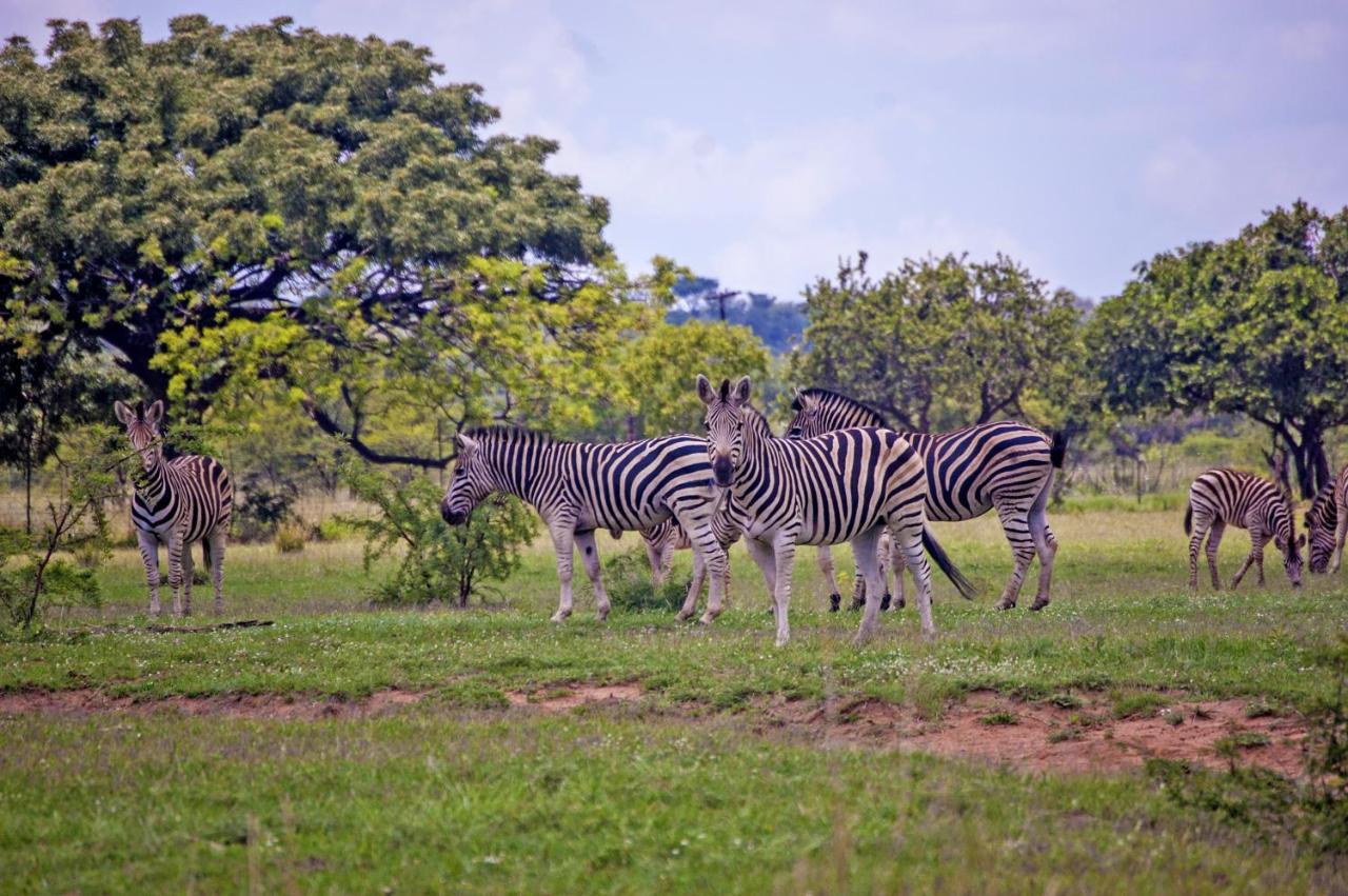 Kedar Heritage Lodge, Conference Centre & Spa Phokeng エクステリア 写真